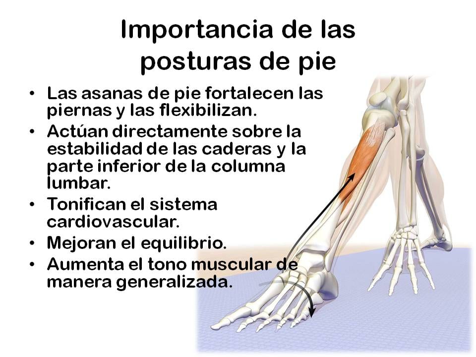 Diapositiva 2 de «Yoga: 5 Asanas de pie fundamentales»