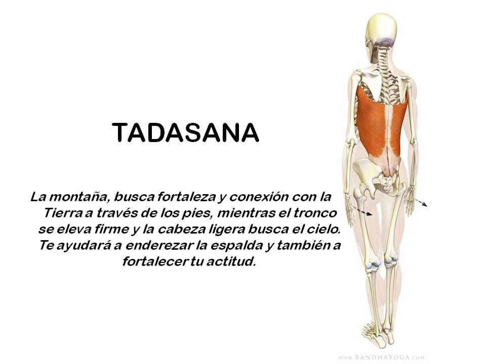 Diapositiva 4 de «Yoga: 5 Asanas de pie fundamentales»