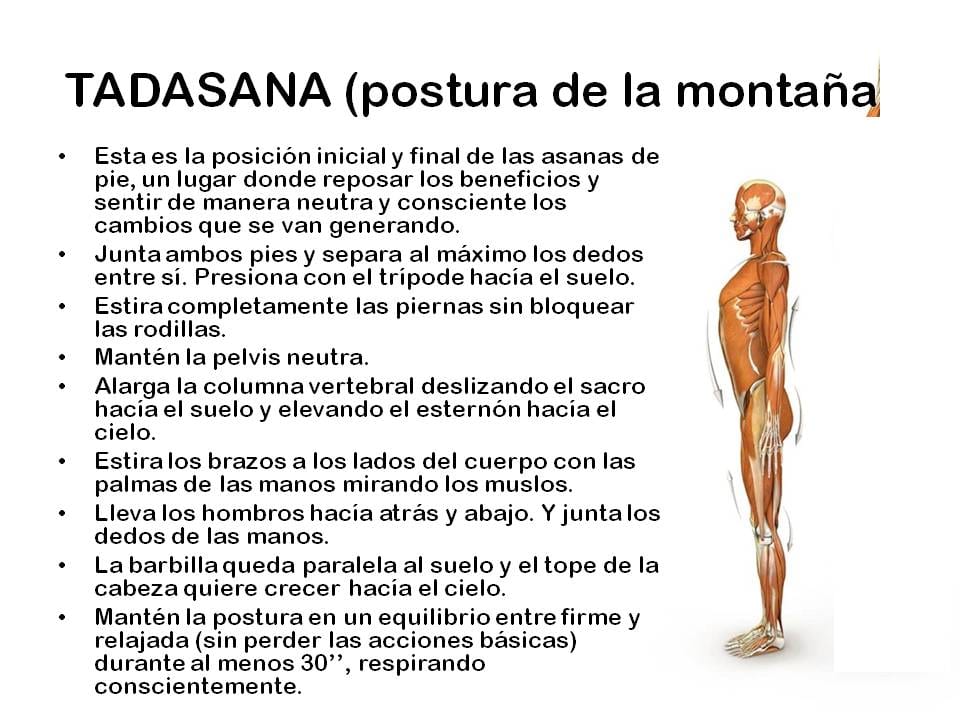 Diapositiva 5 de «Yoga: 5 Asanas de pie fundamentales»
