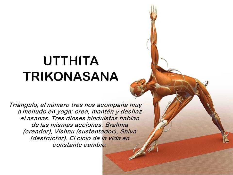 Diapositiva 10 de «Yoga: 5 Asanas de pie fundamentales»
