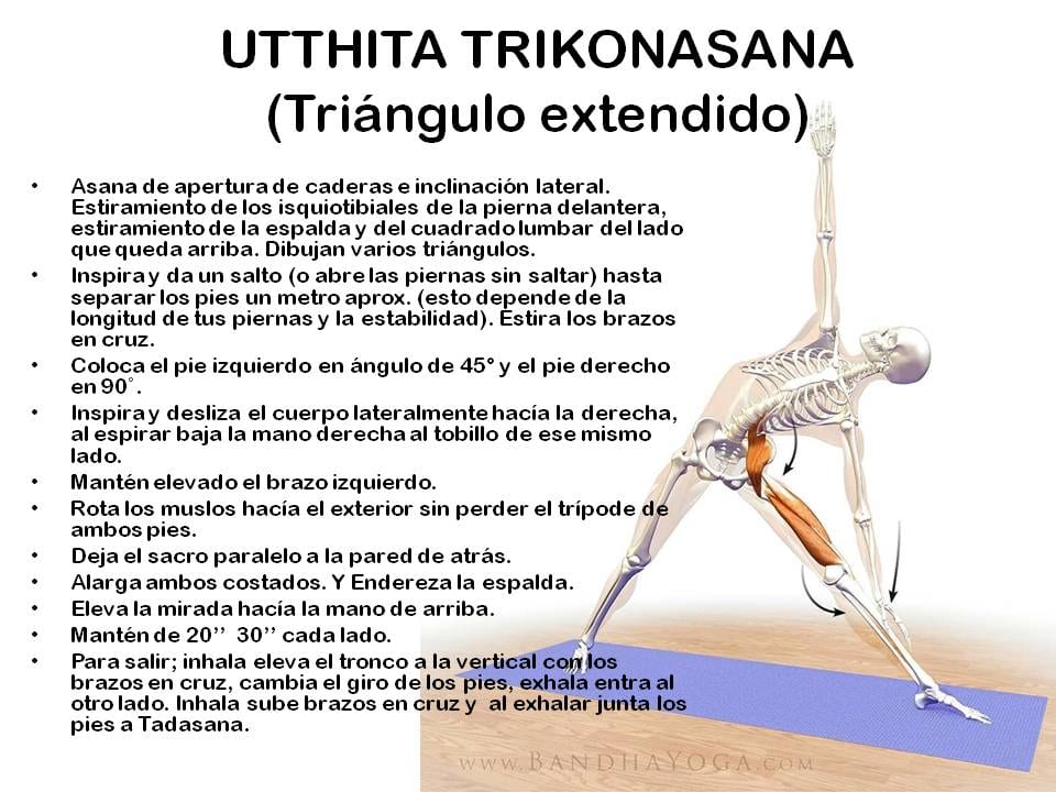 Diapositiva 11 de «Yoga: 5 Asanas de pie fundamentales»