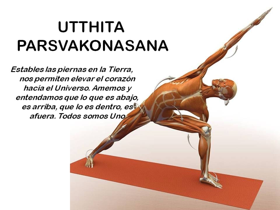 Diapositiva 13 de «Yoga: 5 Asanas de pie fundamentales»