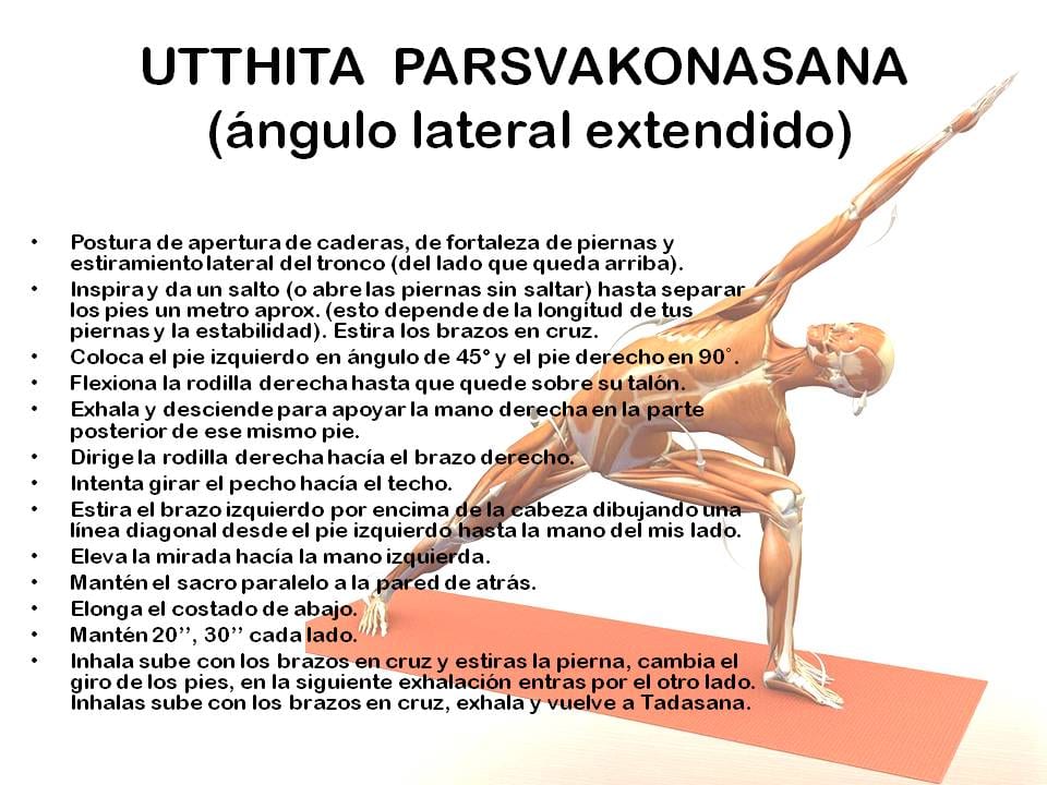Diapositiva 14 de «Yoga: 5 Asanas de pie fundamentales»