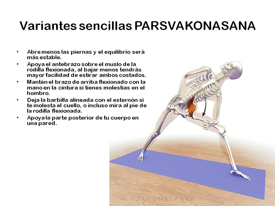 Diapositiva 15 de «Yoga: 5 Asanas de pie fundamentales»
