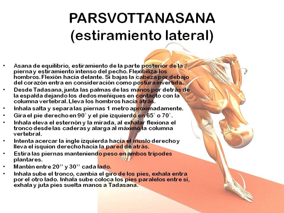 Diapositiva 17 de «Yoga: 5 Asanas de pie fundamentales»