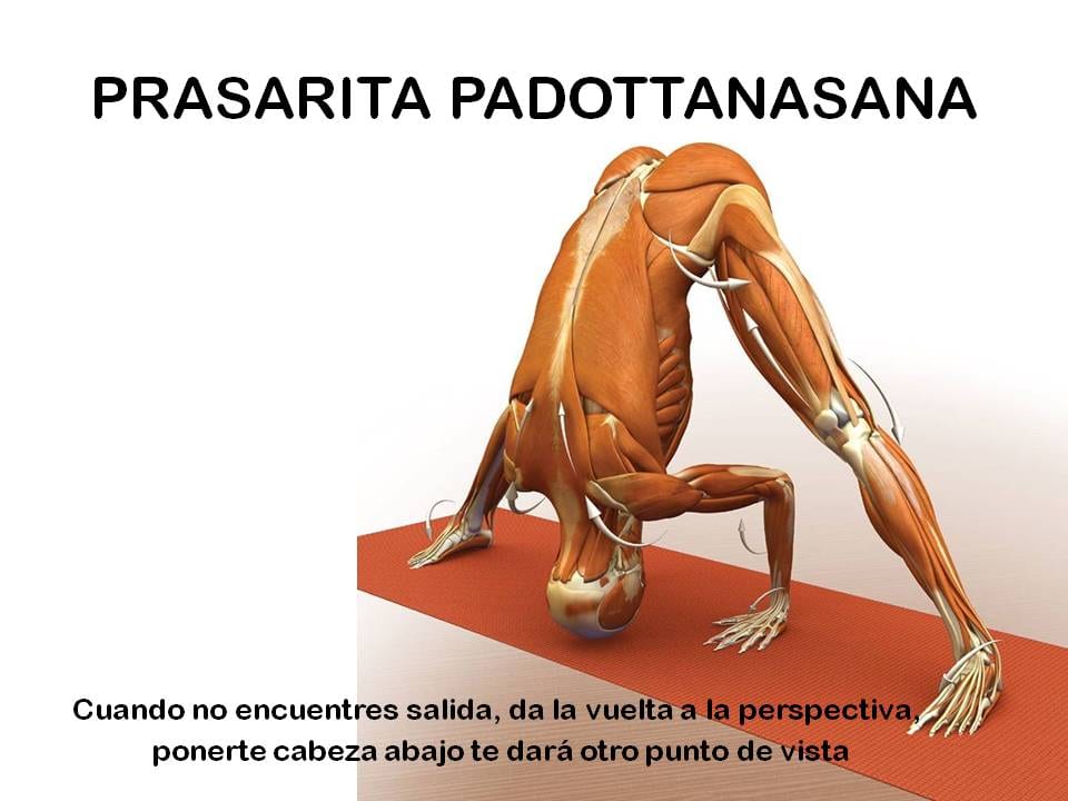 Diapositiva 19 de «Yoga: 5 Asanas de pie fundamentales»