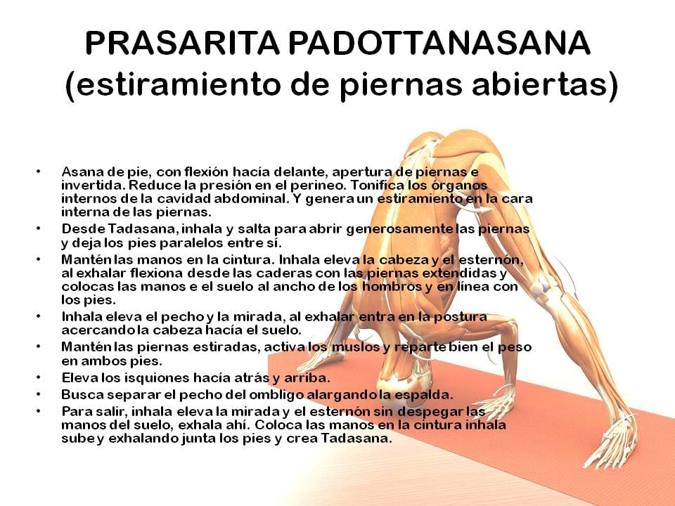 Diapositiva 20 de «Yoga: 5 Asanas de pie fundamentales»