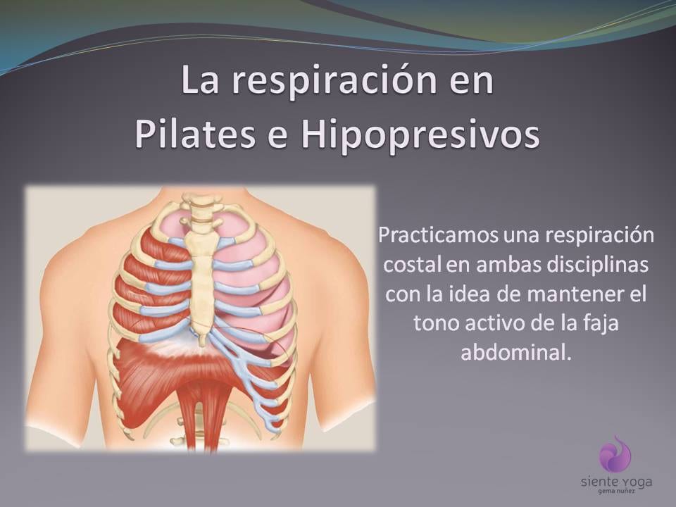 Diapositiva 1 de «La respiración costal»