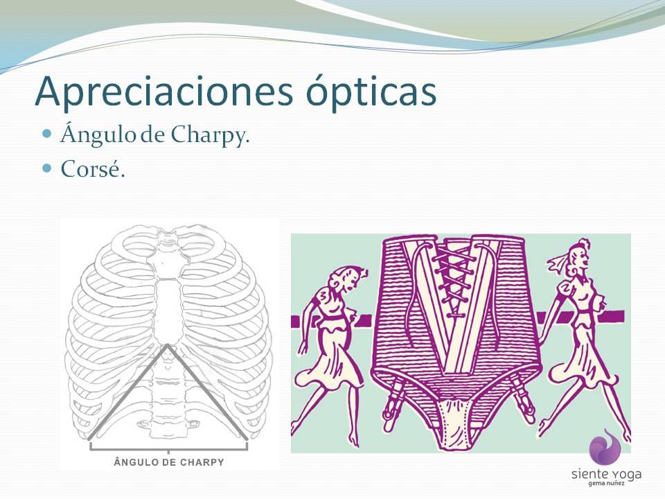 Diapositiva 7 de «La respiración costal»