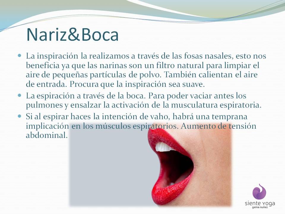 Diapositiva 8 de «La respiración costal»