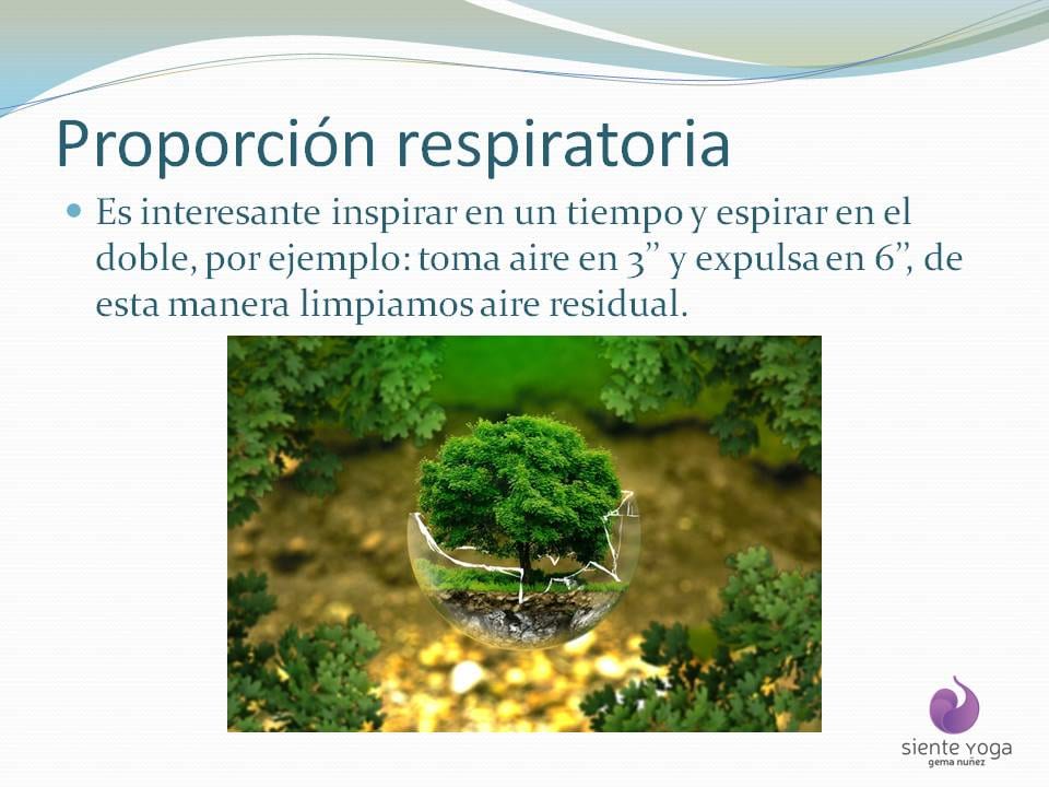 Diapositiva 9 de «La respiración costal»
