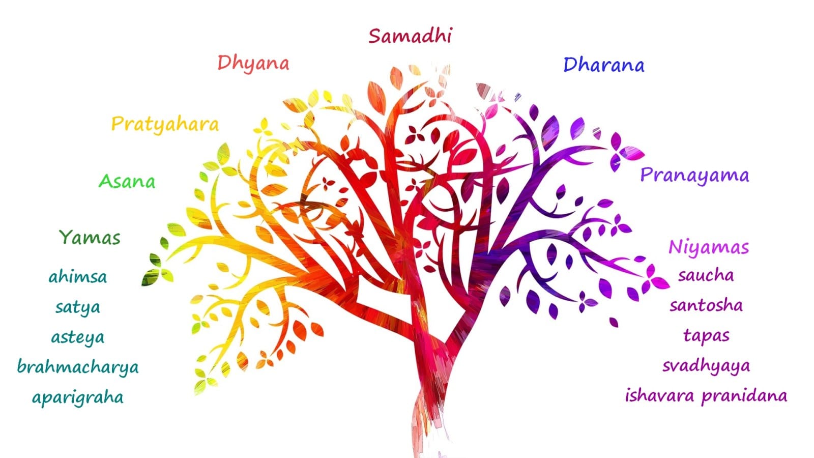 Imagen del artículo «¿Qué es Yoga?»