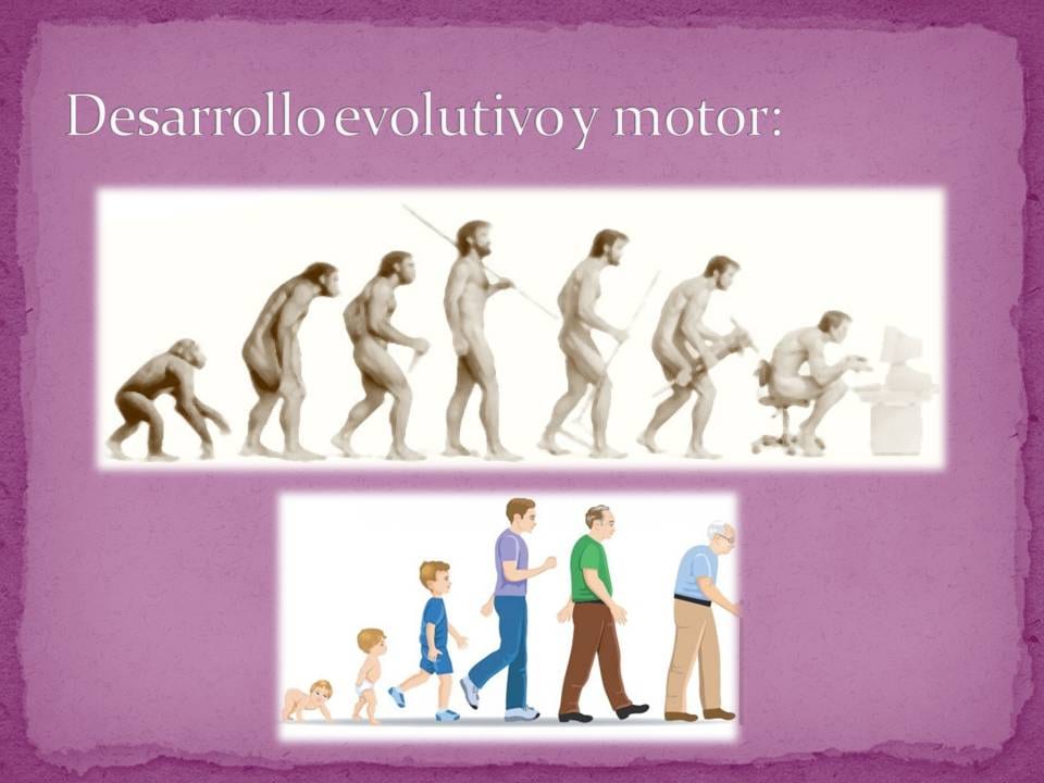 Diapositiva 2 de «Suelo Pélvico «Un espacio a descubrir»»