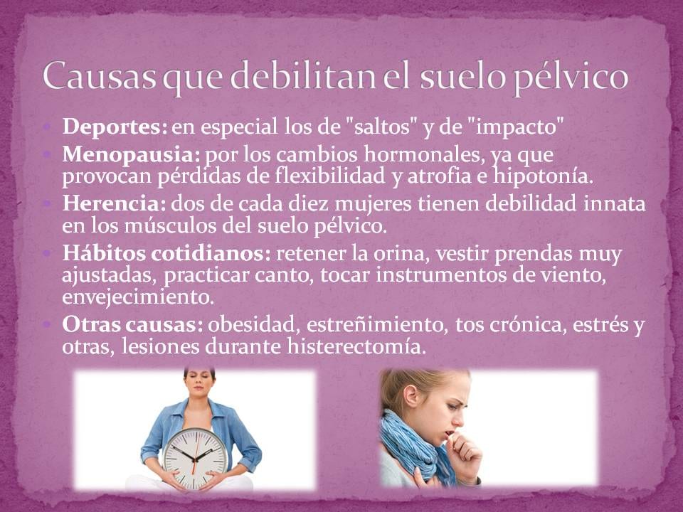 Diapositiva 7 de «Suelo Pélvico «Un espacio a descubrir»»