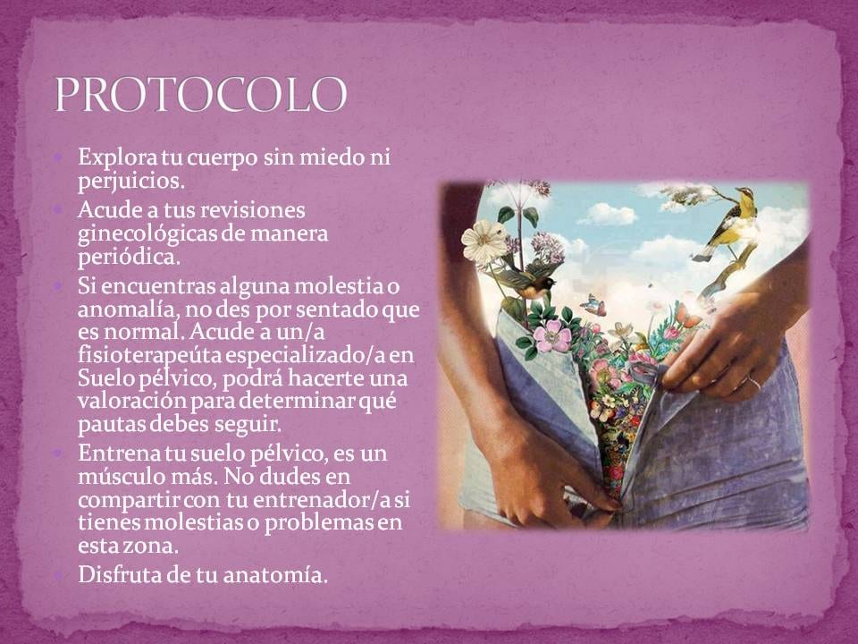 Diapositiva 19 de «Suelo Pélvico «Un espacio a descubrir»»