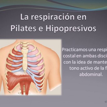 La respiración costal