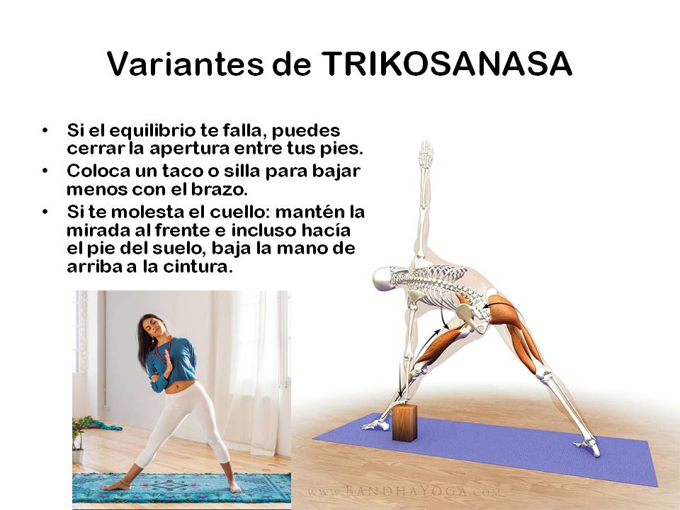 Diapositiva12