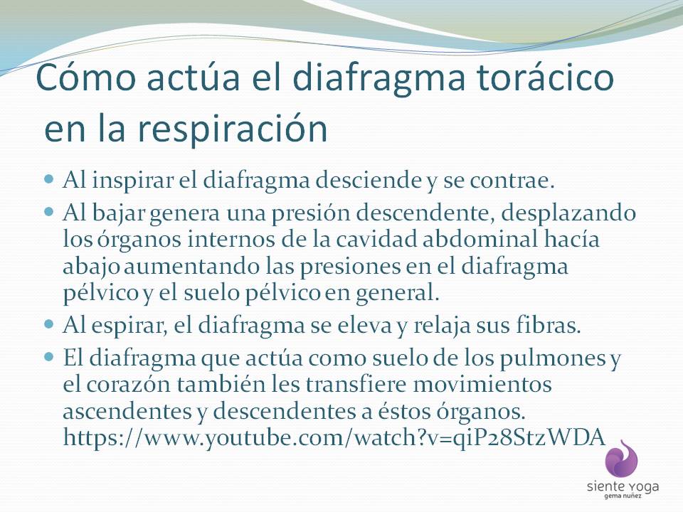 Diapositiva3