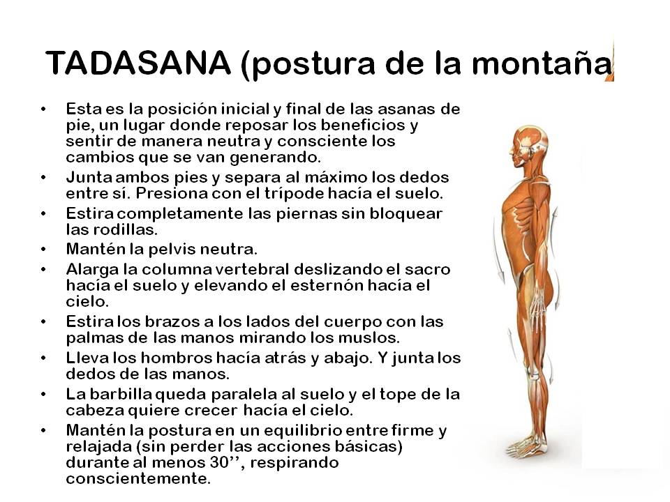 Diapositiva5