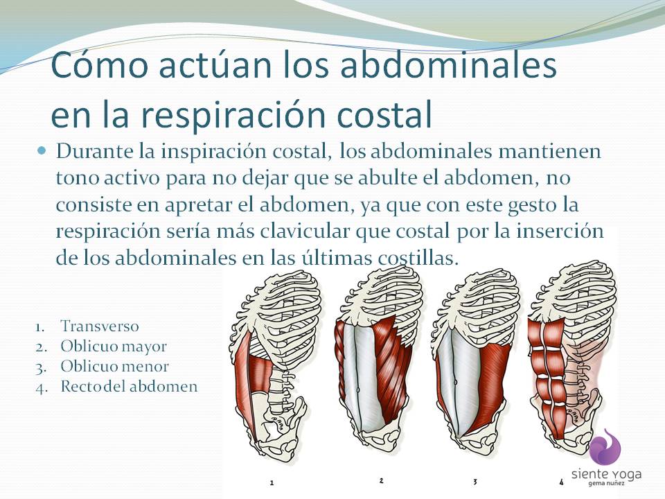 Diapositiva5