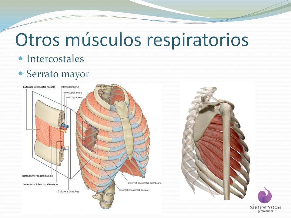 Diapositiva6