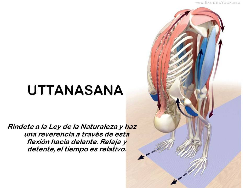 Diapositiva7